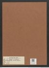 Entopyla ornata Grun. (de-Toni-Nr.: Genus 101, Species 3103) Zeichnungen Sammlung Grunow Mappe 03331 (Herbarium_W_Grunow_drawings_Folder_03331)